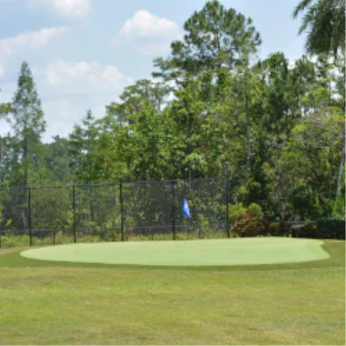 Bring TourLevel Play Home: Annika Sörenstams Artificial Greens