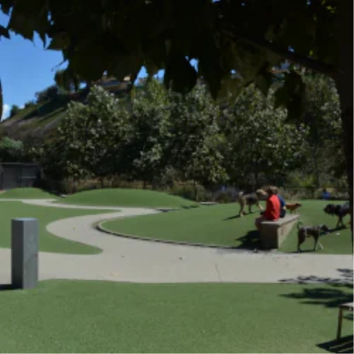 What to Understand Prior to When You Spec a Dog Park Surface in Kennewick