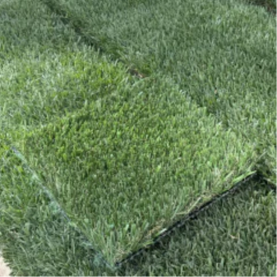 Introducing Wide Blade Turf in Kennewick