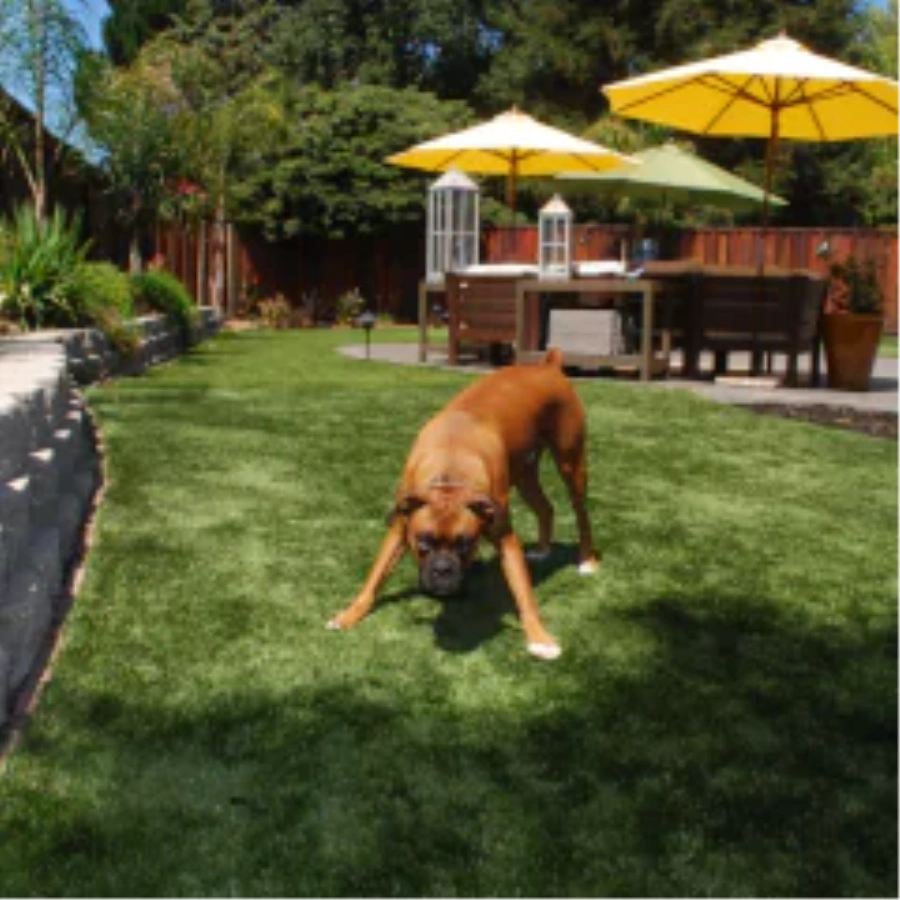 How fake grass for dogs Improves Your [[targetlocaiton]] Outdoor Space